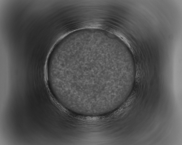 X0000093371080200711081520