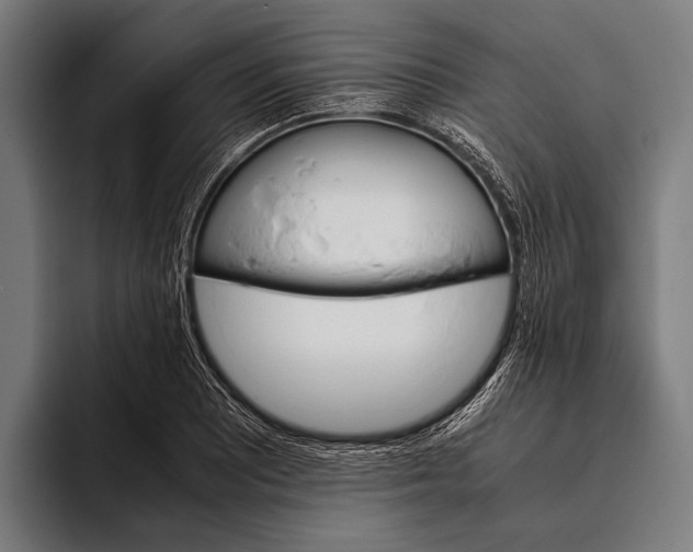 X0000093371081200711081520