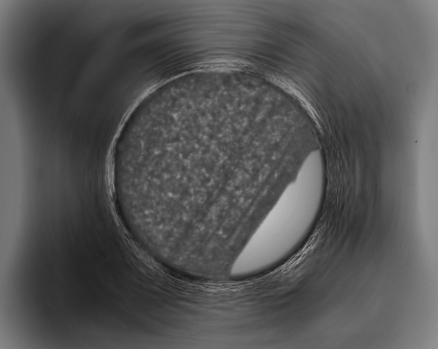 X0000093371083200711081520