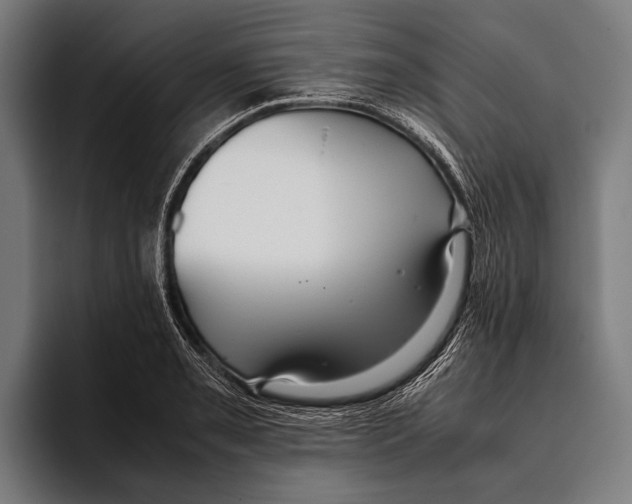 X0000093371085200711081520