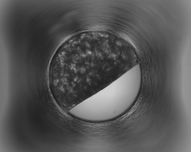 X0000093371087200711081520