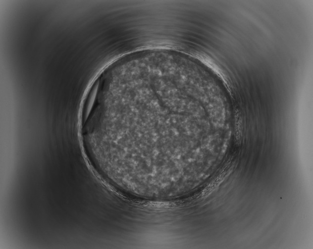 X0000093371088200711081520