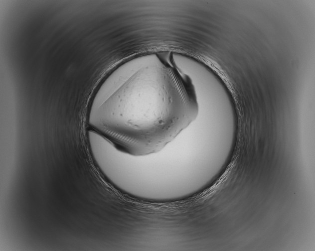 X0000093371089200711081520