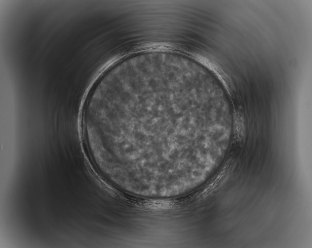X0000093371090200711081520