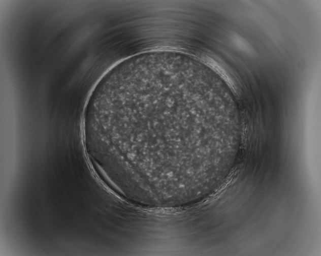 X0000093371092200711081520