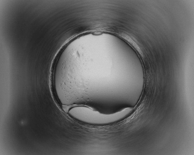 X0000093371093200711081520