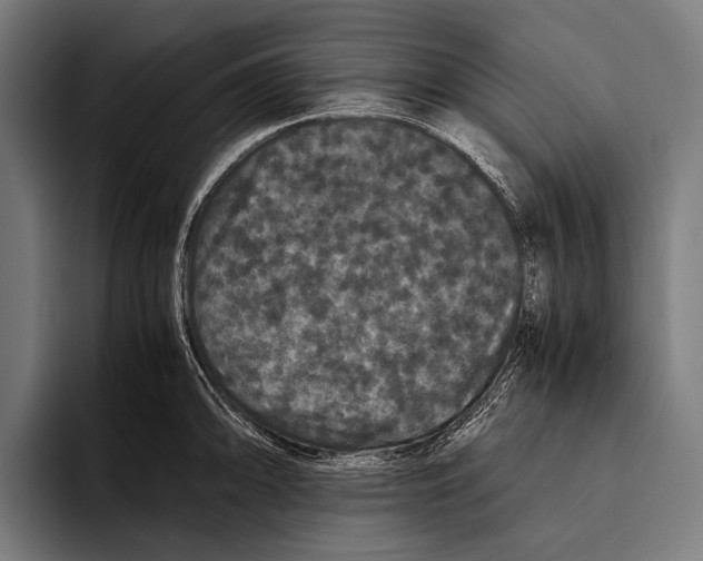 X0000093371094200711081520