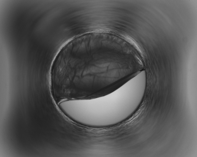 X0000093371095200711081520