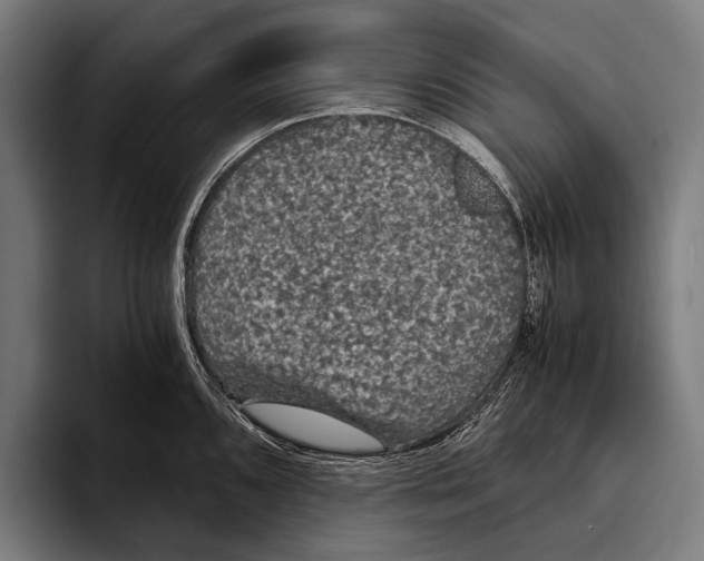 X0000093371096200711081520