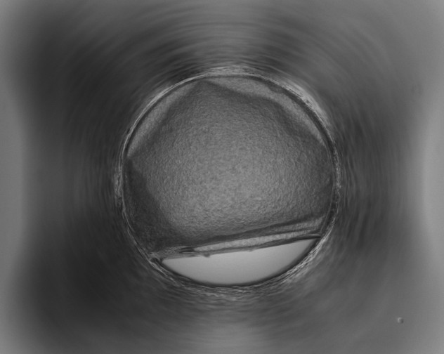 X0000093371097200711081520