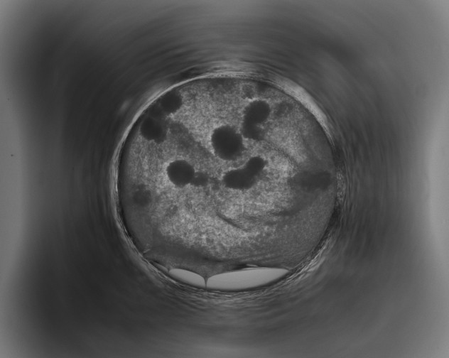 X0000093371099200711081520