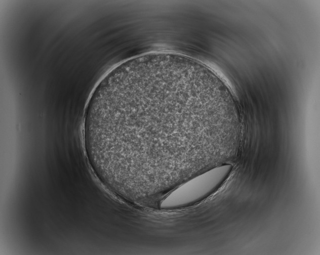X0000093371100200711081520