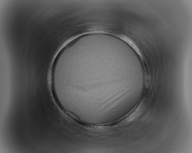X0000093371101200711081520