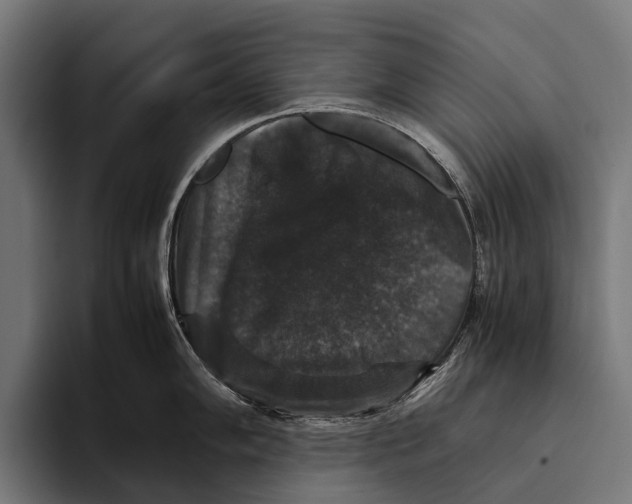 X0000093371102200711081520