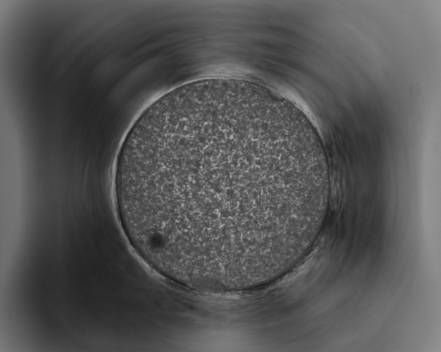 X0000093371103200711081520