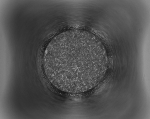 X0000093371105200711081519