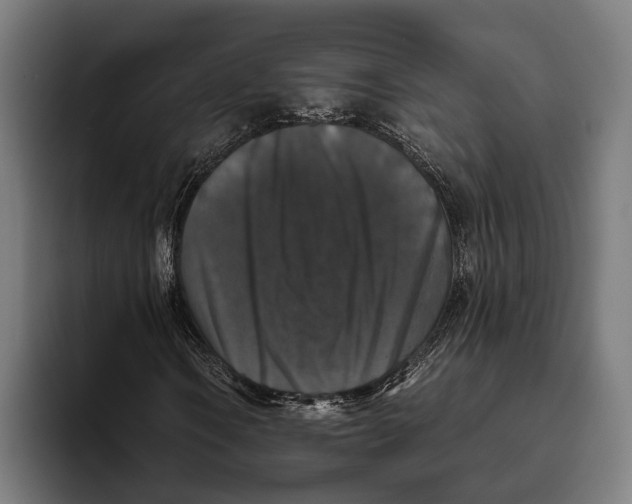 X0000093371106200711081519