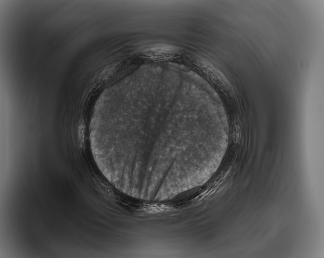 X0000093371108200711081519