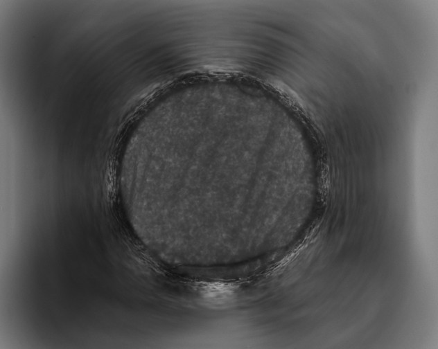 X0000093371110200711081519