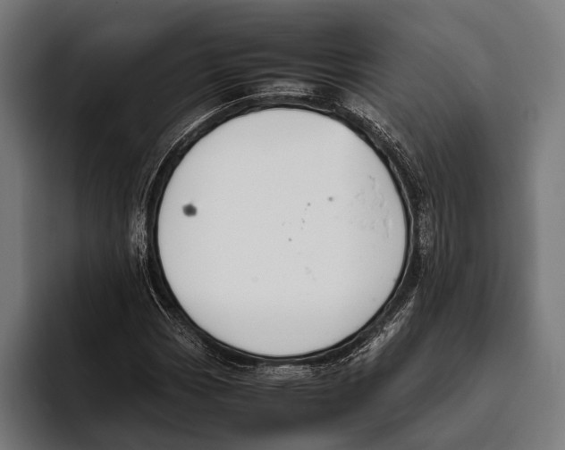 X0000093371113200711081519