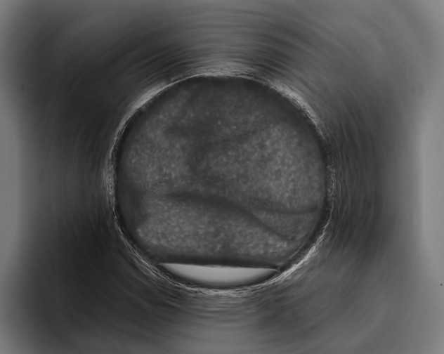 X0000093371114200711081519