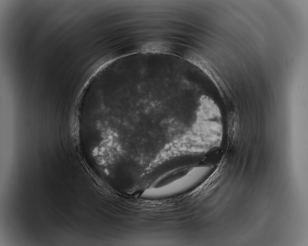 X0000093371115200711081519