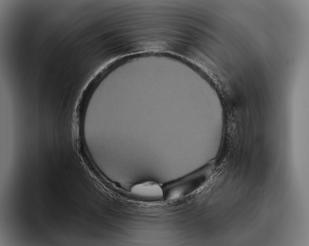 X0000093371118200711081519