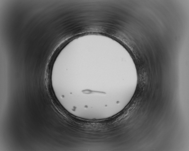 X0000093371119200711081519