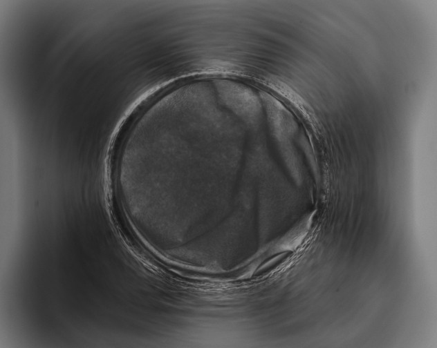 X0000093371120200711081519