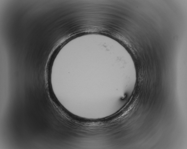X0000093371122200711081519