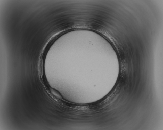 X0000093371123200711081519