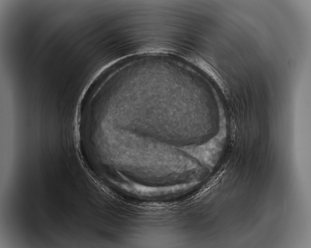 X0000093371124200711081519