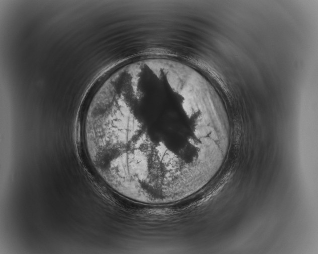 X0000093371125200711081519