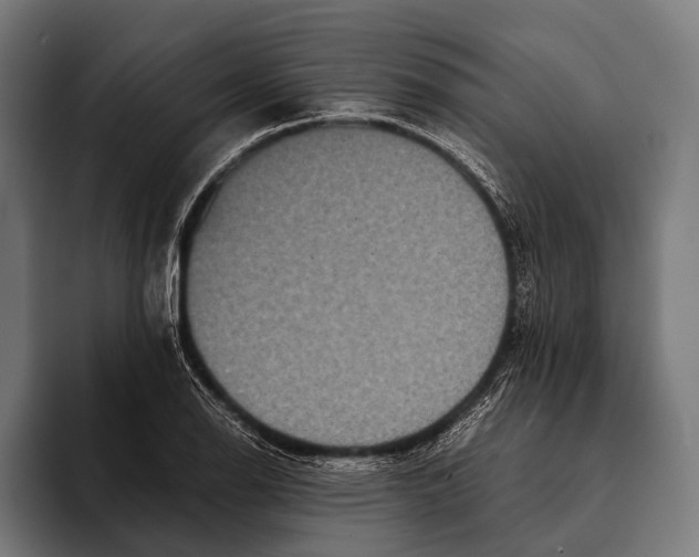 X0000093371126200711081519