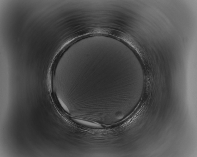 X0000093371127200711081519