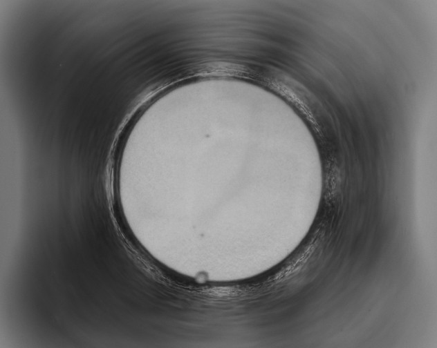 X0000093371130200711081519