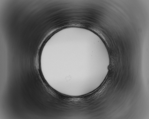 X0000093371131200711081519