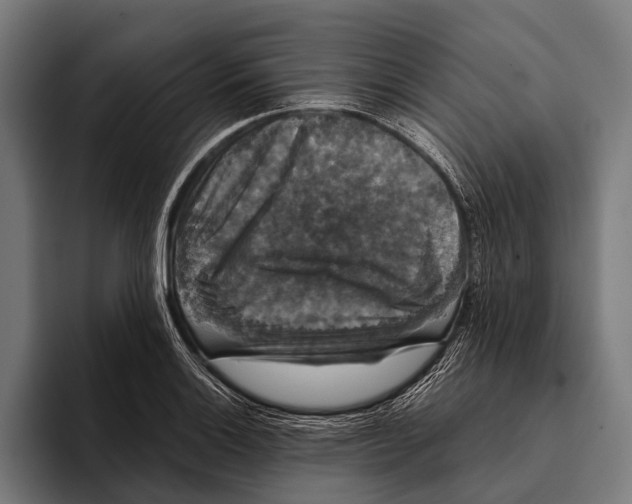 X0000093371132200711081519