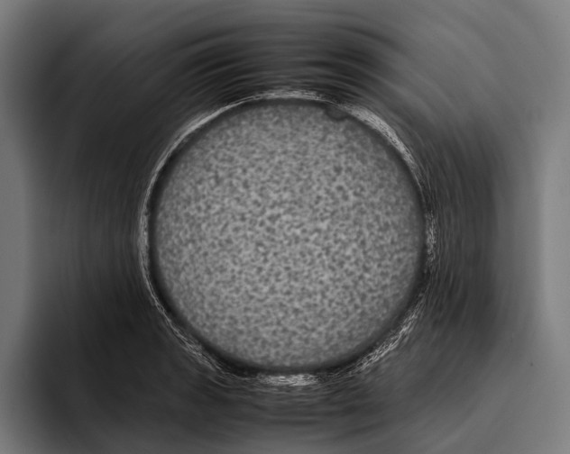 X0000093371133200711081519