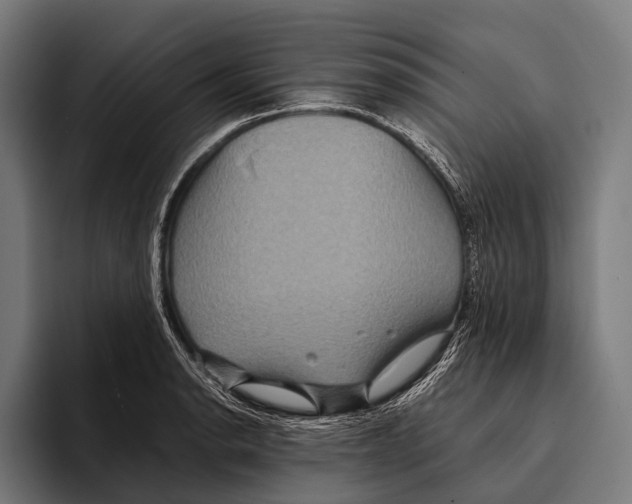 X0000093371134200711081519