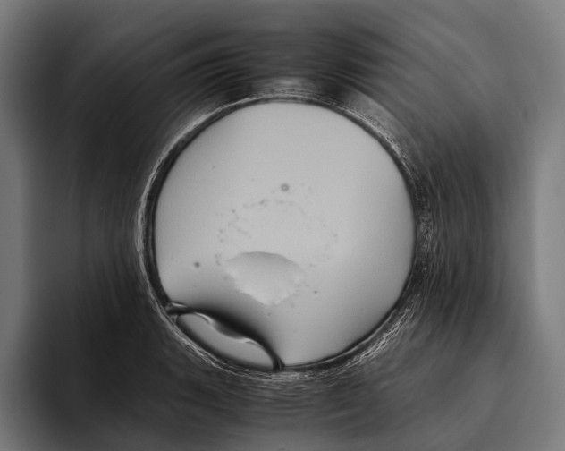 X0000093371135200711081519