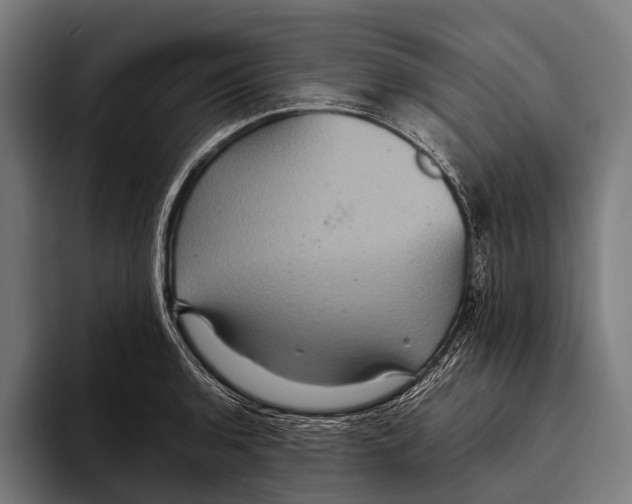 X0000093371136200711081519