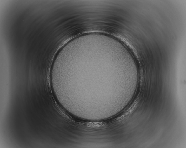 X0000093371137200711081519
