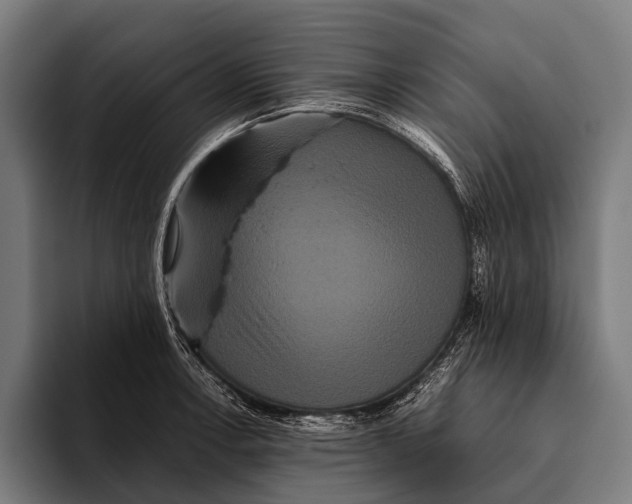 X0000093371138200711081519