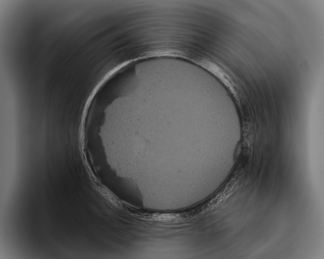 X0000093371140200711081519