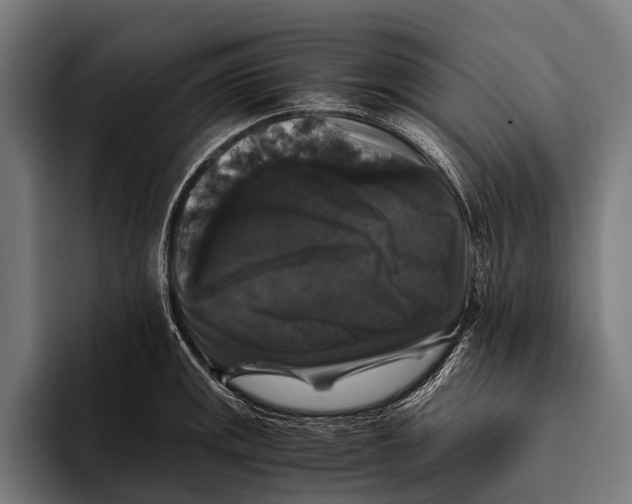 X0000093371141200711081519