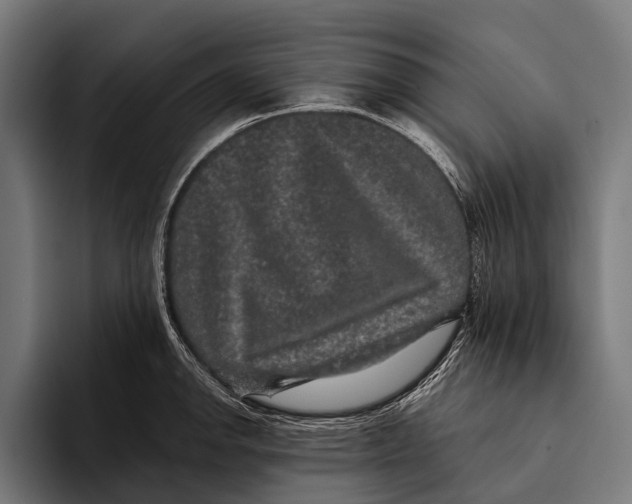 X0000093371142200711081519