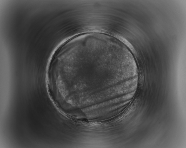 X0000093371144200711081519