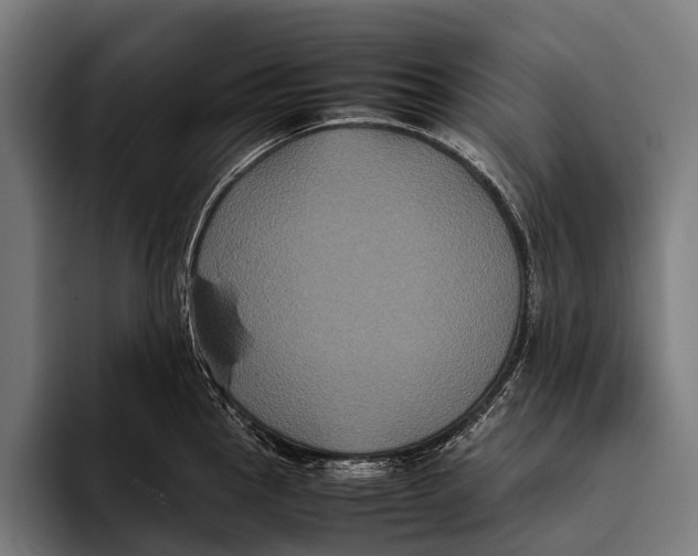 X0000093371145200711081519