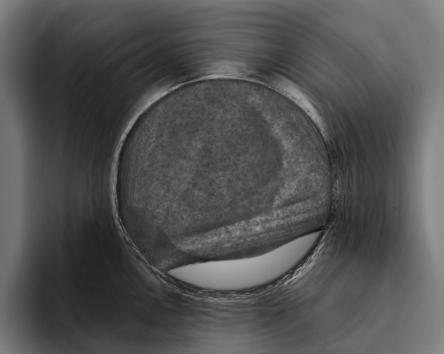X0000093371146200711081519